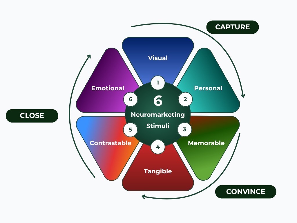 6 Stimuli_iNTEGRATION